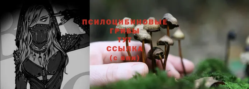 Псилоцибиновые грибы Magic Shrooms  Ардон 