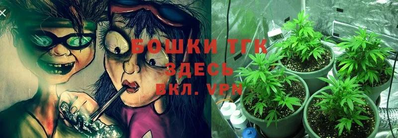 Конопля OG Kush  купить наркотики сайты  Ардон 